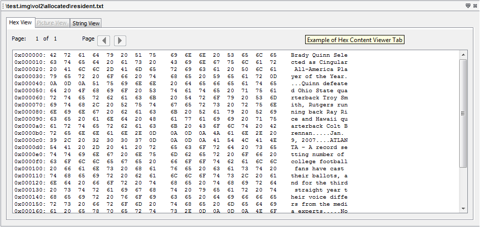 hex-content-viewer-tab.PNG