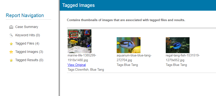 tagging_image_report.png