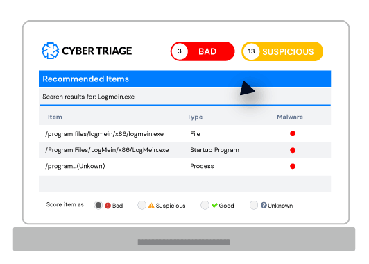 Cyber Triage screenshot